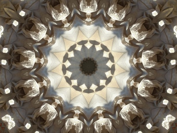 插图设计图片下载