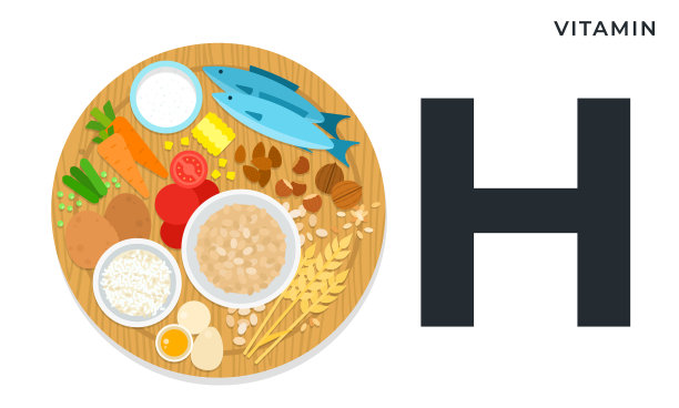 维生素H或生物素扁平图标图片下载