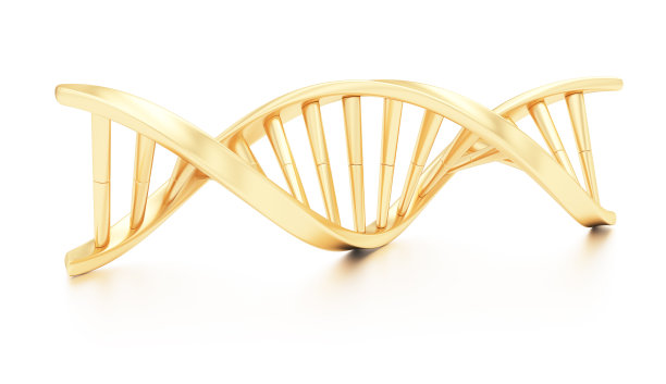 黄金DNA结构图片下载