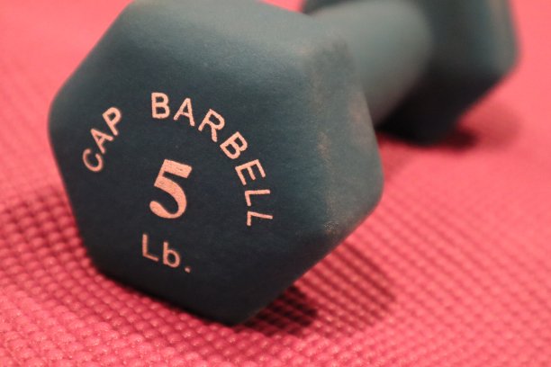 5磅哑铃健身重量图片下载