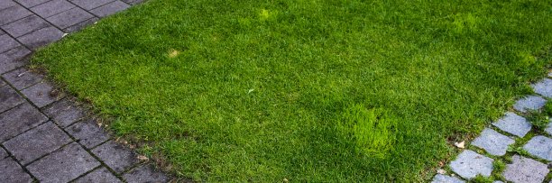 城市里的一片草图片下载