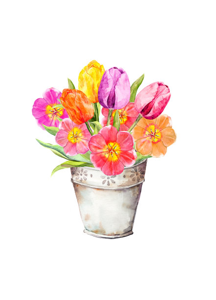 古董桶里的郁金香花。春天花水彩图片下载