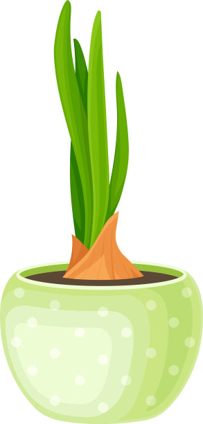 移栽的花或幼苗图片下载