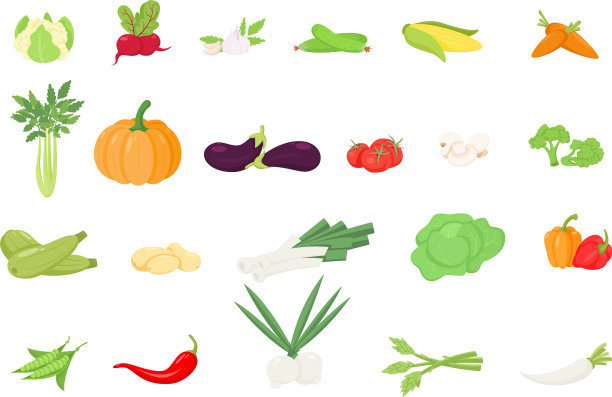 蔬菜图标设置在卡通风格图片下载