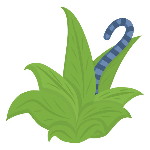 一种来自马达加斯加的动物。狐猴坐在灌木丛中，条纹尾巴翘起，孤立在白色的背景上。儿童矢量插图图片下载