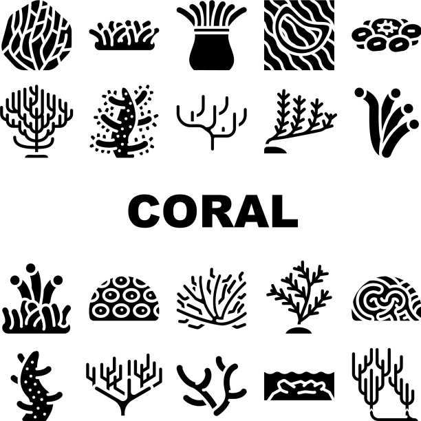 珊瑚海洋水生珊瑚礁收集图标集图片下载