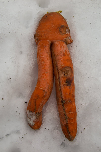 西班牙加泰罗尼亚博索斯特村的一条狭窄街道。图片下载