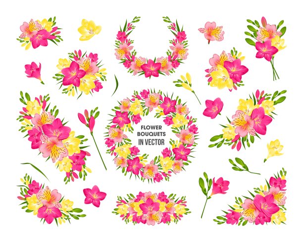 一组巨大的小苍兰和紫花苜蓿图片下载