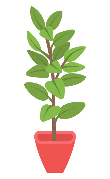 室内盆栽，花繁图片下载