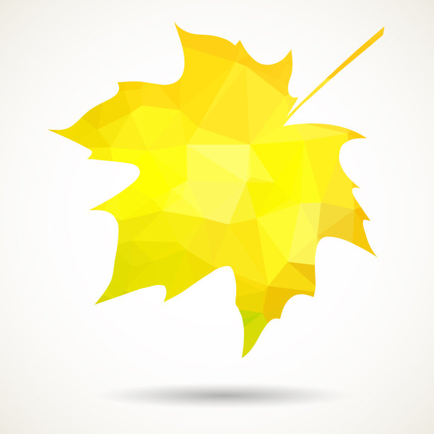 三角形的枫叶图片下载