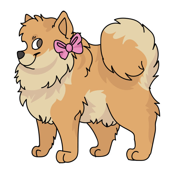 可爱的卡通博美犬品种矢量剪纸。为爱狗者准备的纯种狗。纯种家养小狗为宠物客厅插图吉祥物。孤立的狗毛茸茸的斯帕斯。每股收益10。图片下载