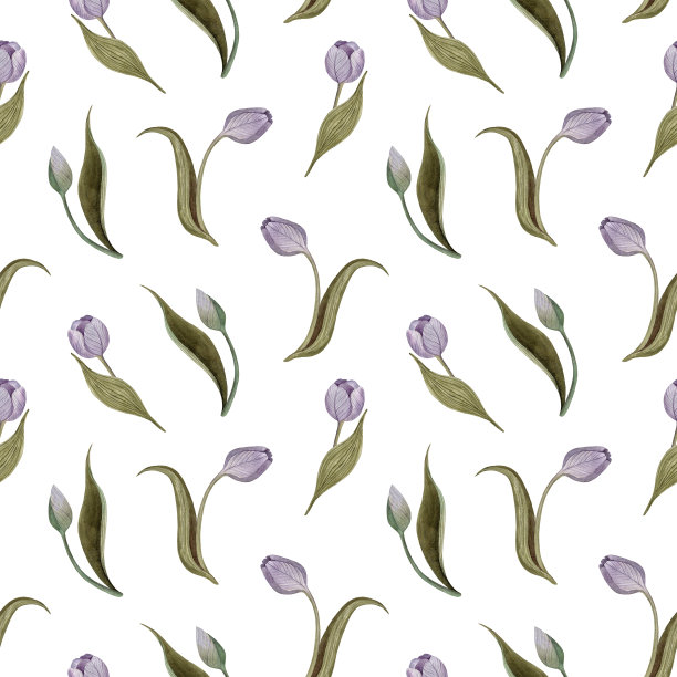 水彩紫色郁金香与绿色的叶子在深灰色的背景。手绘花朵图片下载