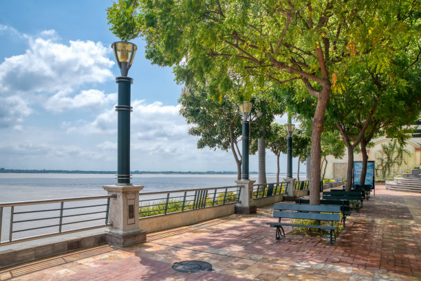 长椅，树木和瓜亚斯河图片下载