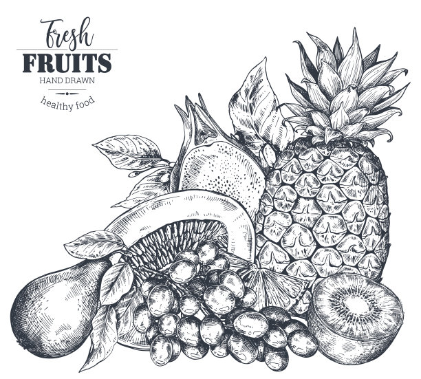 手绘新鲜图片下载