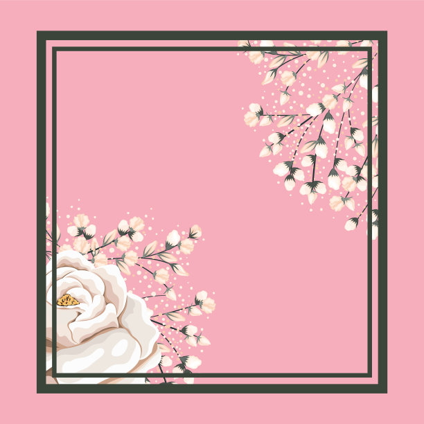 框架与白玫瑰花和花蕾绘画图片下载