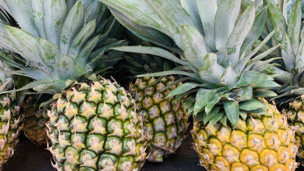 水果摄影图片下载