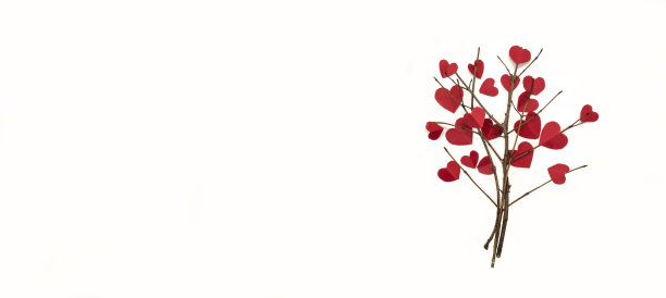 情人节的时候，在白色的背景上，把纸心放在树枝上。爱树。平躺，俯视图，水平图片下载