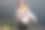快乐的年轻女子身穿白衬衫和条纹上衣，在度假小镇周围散步，笑着对着山脉和黑色的天空摆姿势。暴风雨前的平静图片下载