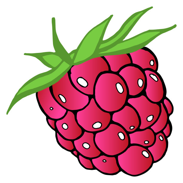 树莓:新鲜的树莓手绘图片下载