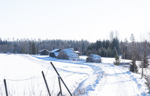 伐木和农场谷仓。芬兰的冬季景观有积雪的道路和树木。图片下载