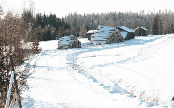 伐木和农场谷仓。芬兰的冬季景观有积雪的道路和树木。图片下载