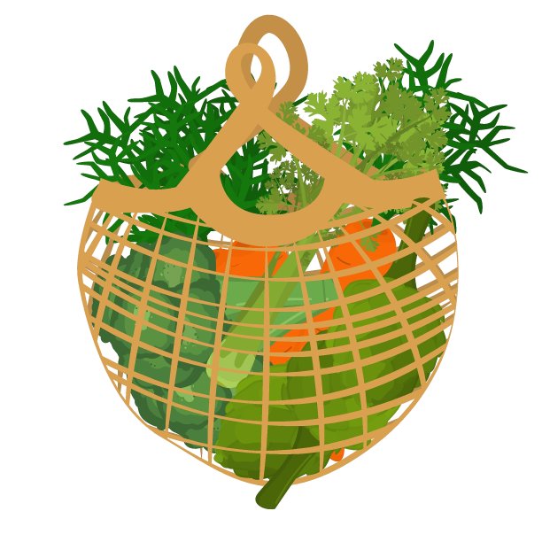 关于无废物消费和环保议题的说明。网格与蔬菜。袋子里的健康食品对塑料说“不”。图片下载