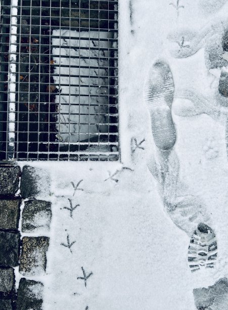 方法在雪图片下载