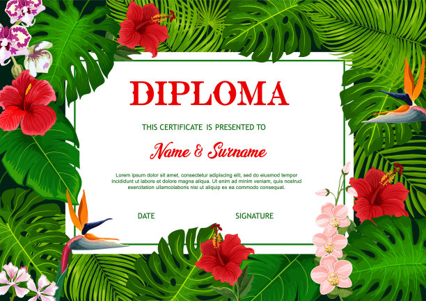 大专学历，热带棕榈叶图片下载