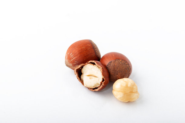 榛子。新鲜的有机榛子孤立在白色背景。图片下载