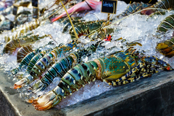 冰鲜龙虾图片下载