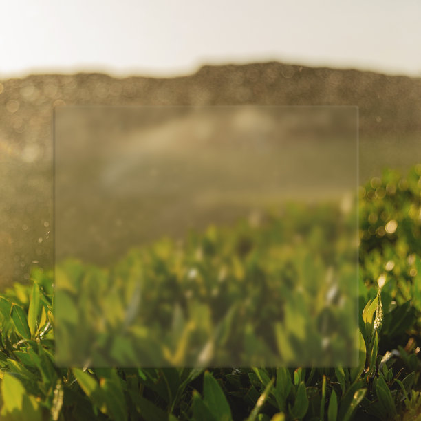 春天的背景与新鲜的草和玻璃形态卡图片下载