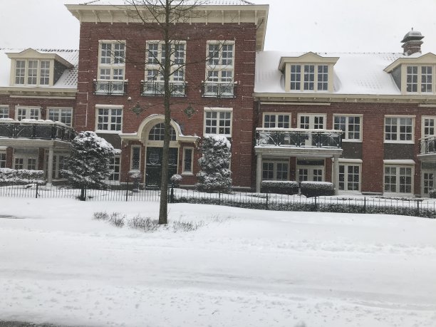 被雪覆盖的建筑图片下载