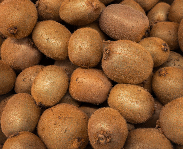 生猕猴桃，近距离看图片下载