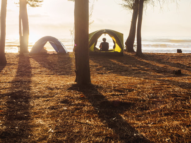 在满是松林的海滩上露营帐篷，清晨日出的是金色的天空。泰国普拉楚布·基里汗的哈特·瓦纳肯国家公园。图片下载
