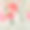 水彩玫瑰，百合和茉莉花预算灰色无缝模式。图片下载