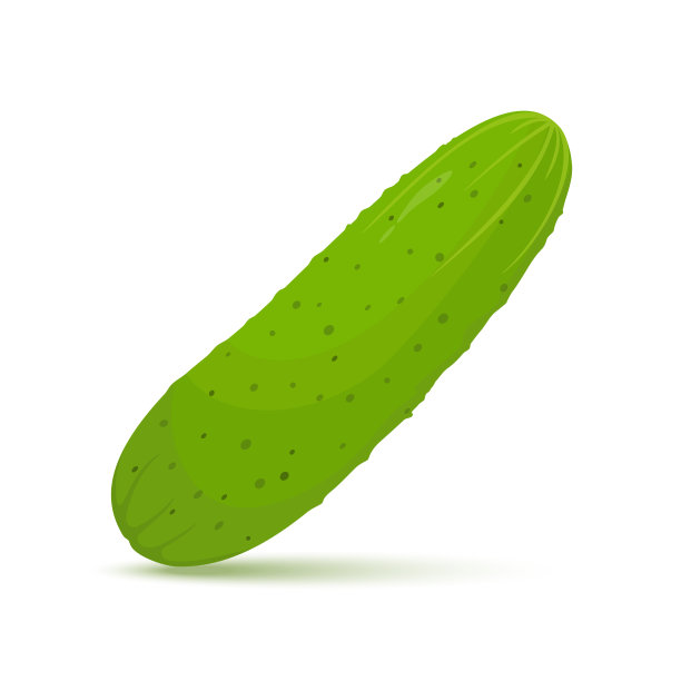 鲜黄瓜蔬菜孤立图标。菜市场黄瓜，素菜沙拉食谱设计。矢量插图在平面风格图片下载