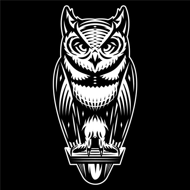 坐着黑白的时尚猫头鹰图片下载