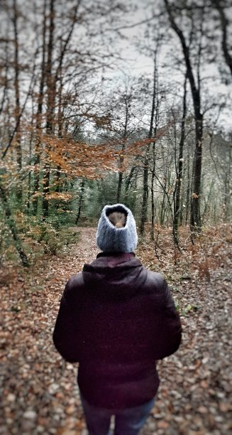 需要一些空气图片下载