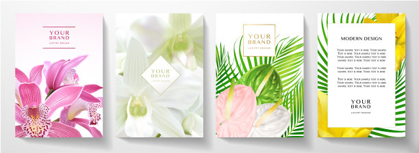 热带封面和框架页设计集亚洲兰花，鸢尾花，百合花束图片下载