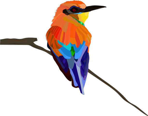 色彩斑斓的鸟。矢量图像。鸟:食蜂鸟。Merops apiaster。图片下载