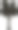 树枝剪影风格图标图片下载