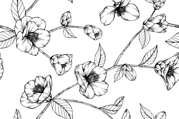 无缝图案的茶花和粳稻花图片下载