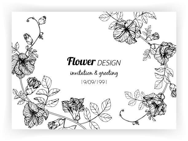 贺卡上有蝴蝶豌豆花和叶子图片下载