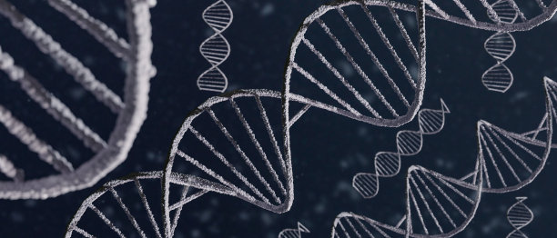 摘要光DNA结构概念，三维绘制插图，分子螺旋螺旋，科学，医学，遗传生物技术，染色体分析，DNA染色体遗传人类基因细胞，蓝色背景图片下载