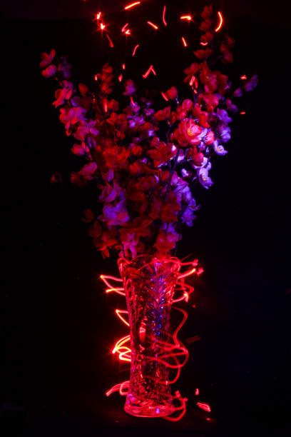 花着火了图片下载