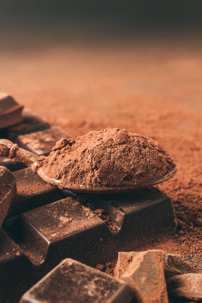 在勺子里放入棕色的可可粉和切碎的巧克力块，在深色的背景上有拷贝空间图片下载