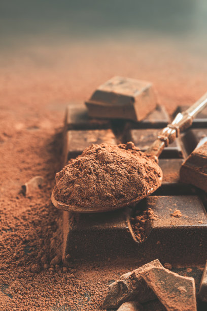 在勺子里放入棕色的可可粉和切碎的巧克力块，在深色的背景上有拷贝空间图片下载