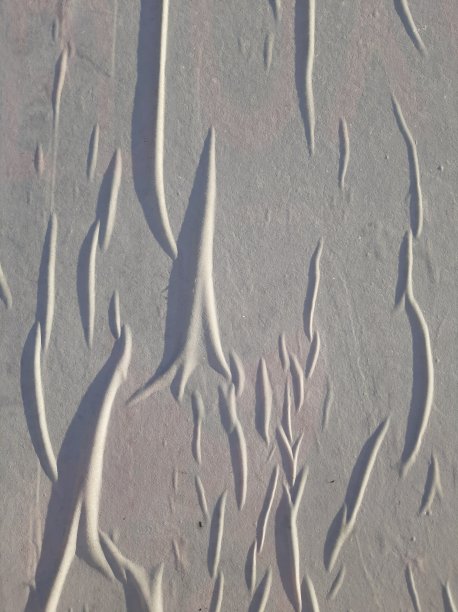 墙纸在墙上起皱了图片下载