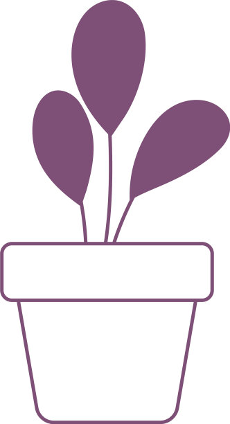 盆栽植物装饰室内花园孤立图片下载