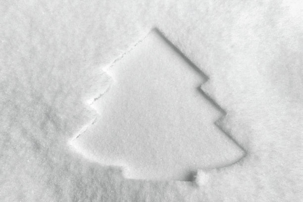 圣诞树的印记在真正的冬天的雪图片下载